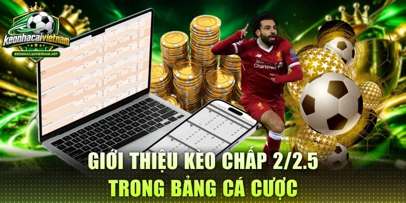 Giới thiệu kèo chấp 2/2.5 trong bảng cá cược