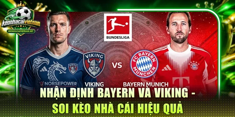 nhận định bayern và viking